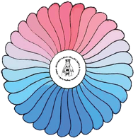 mv logo