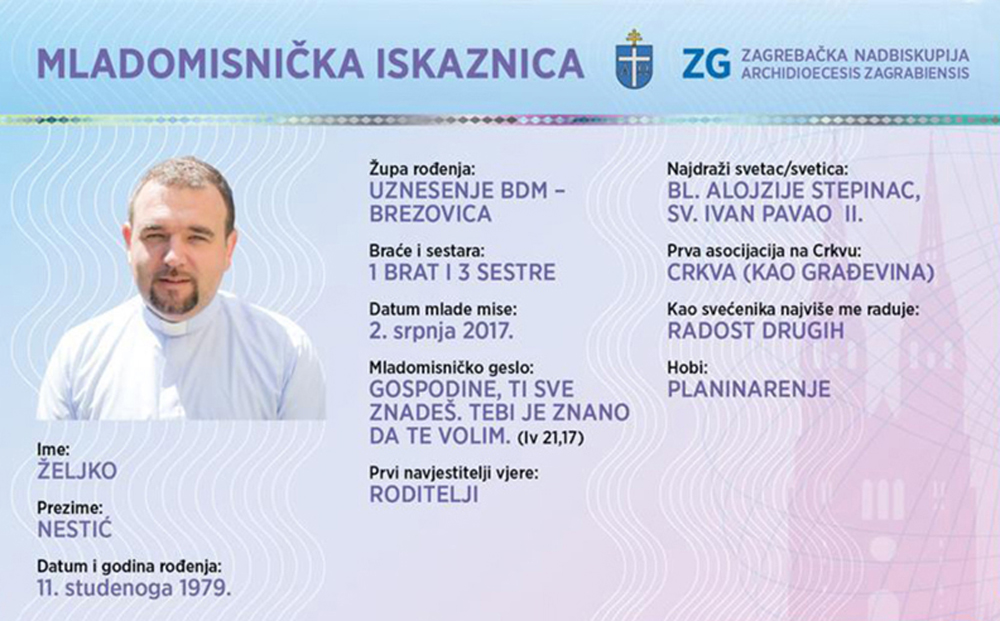 Željko Nestić slika